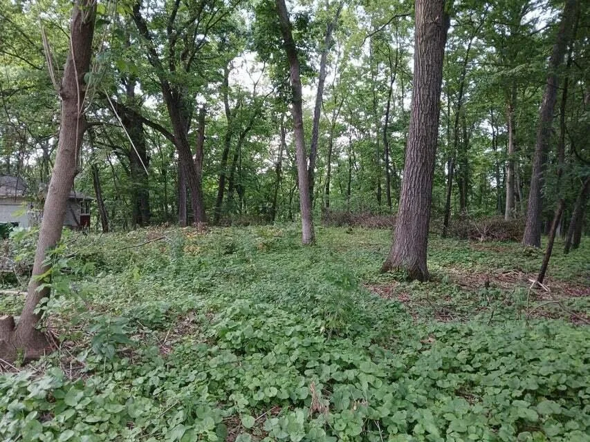 Beautiful .69 Acre Lot in Springfeild