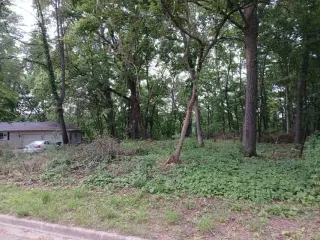 Beautiful .69 Acre Lot in Springfeild thumbnail 8