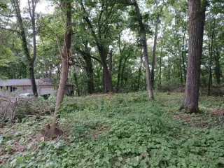 Beautiful .69 Acre Lot in Springfeild thumbnail 3