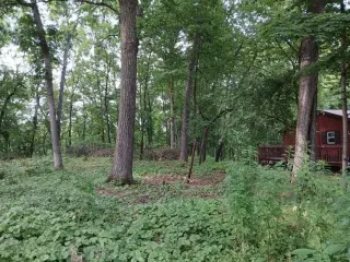 Beautiful .69 Acre Lot in Springfeild thumbnail 4