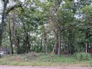 Beautiful .69 Acre Lot in Springfeild thumbnail 7